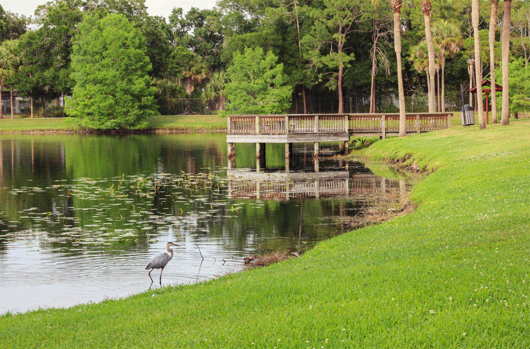 Bird Walk Further