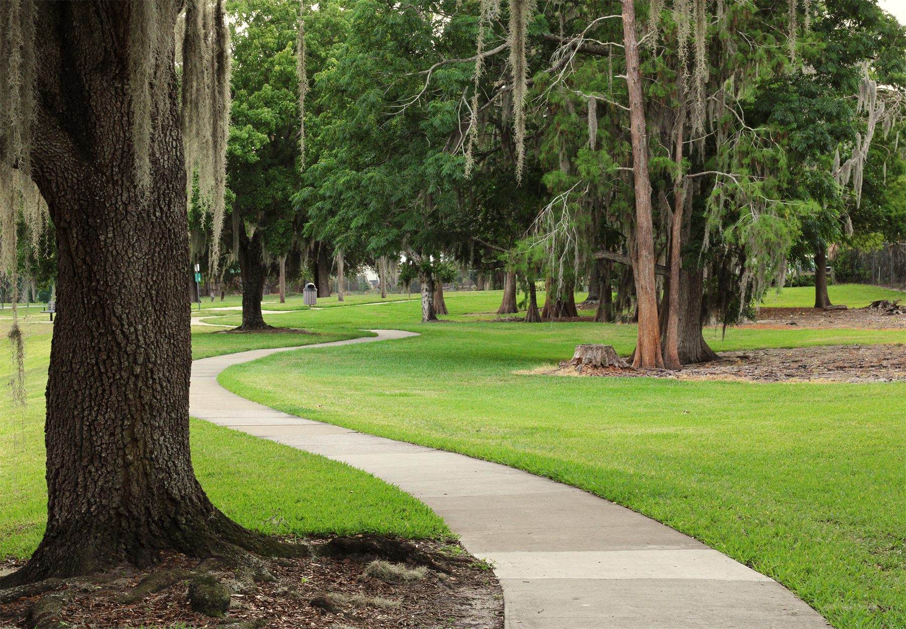 Long Trail