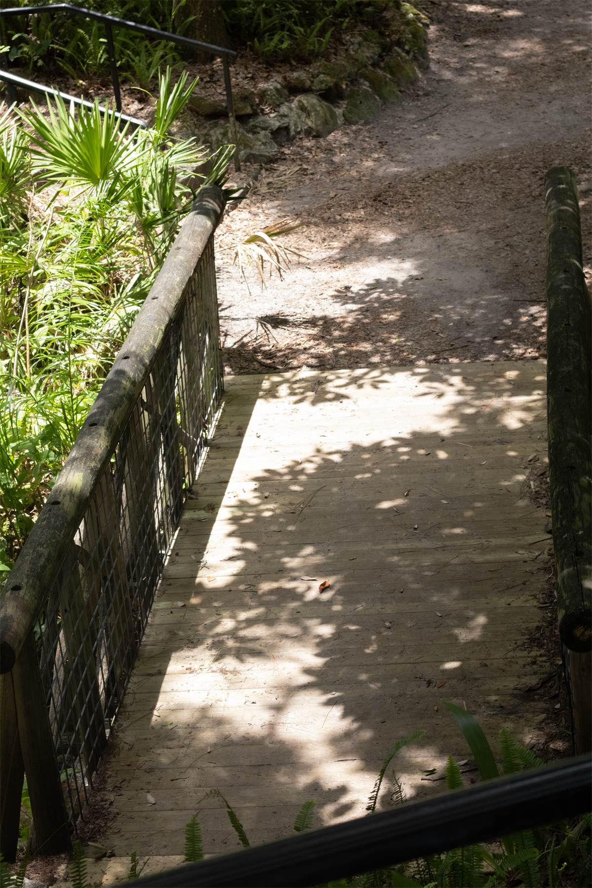 Top Bridge