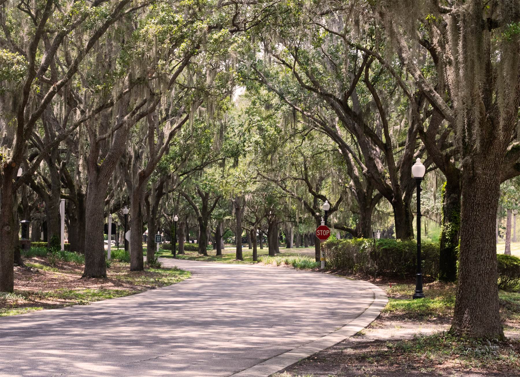 Winding Main Path
